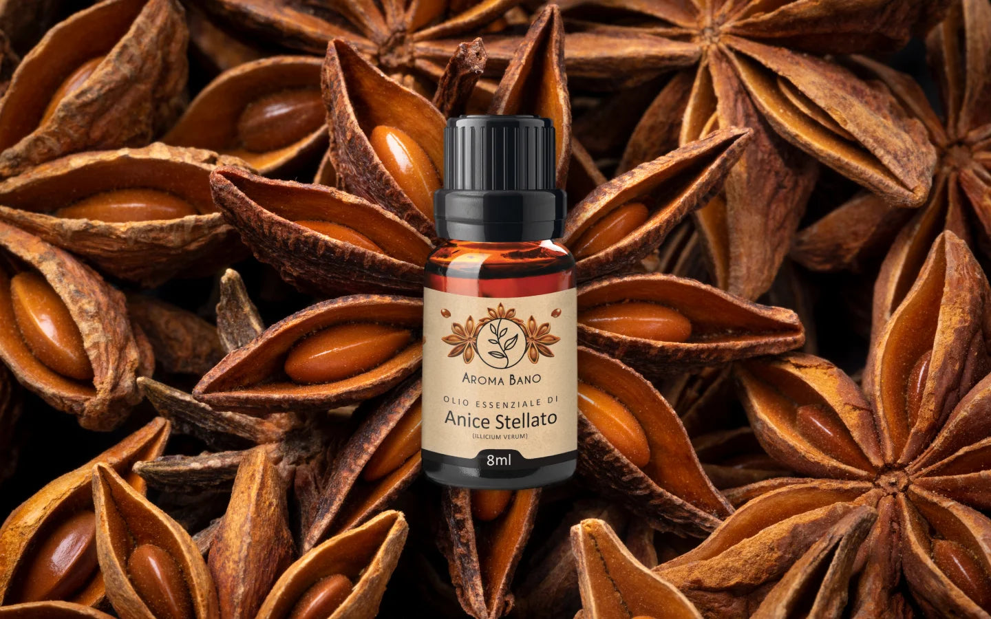 Olio essenziale di Anice Stellato con baccelli di anice
