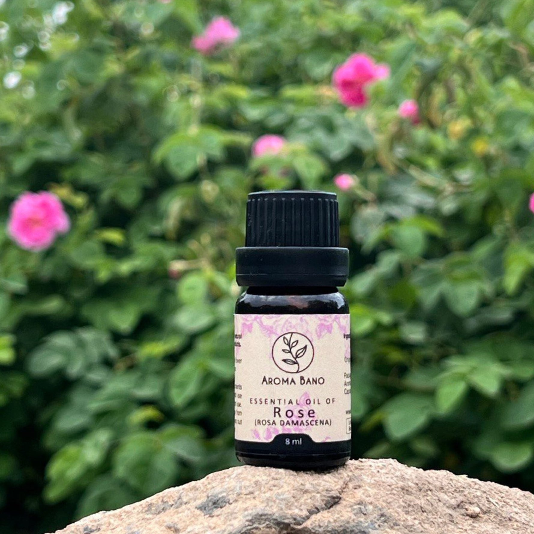 Flacone di olio essenziale di Rosa Damascena Aromabano posizionato su una pietra con sfondo naturale.