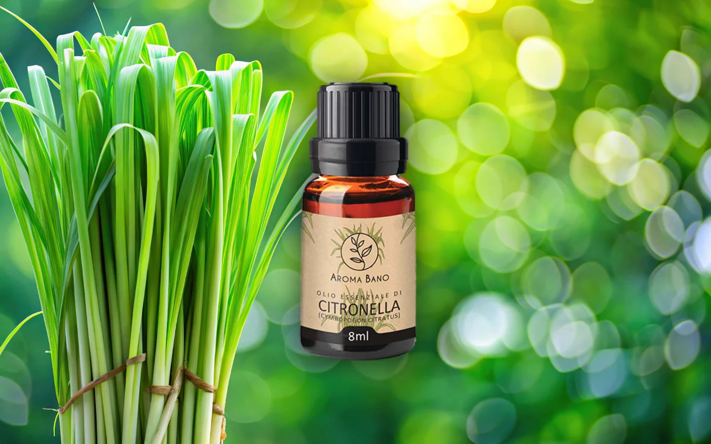 Olio essenziale di Citronella con foglie di citronella
