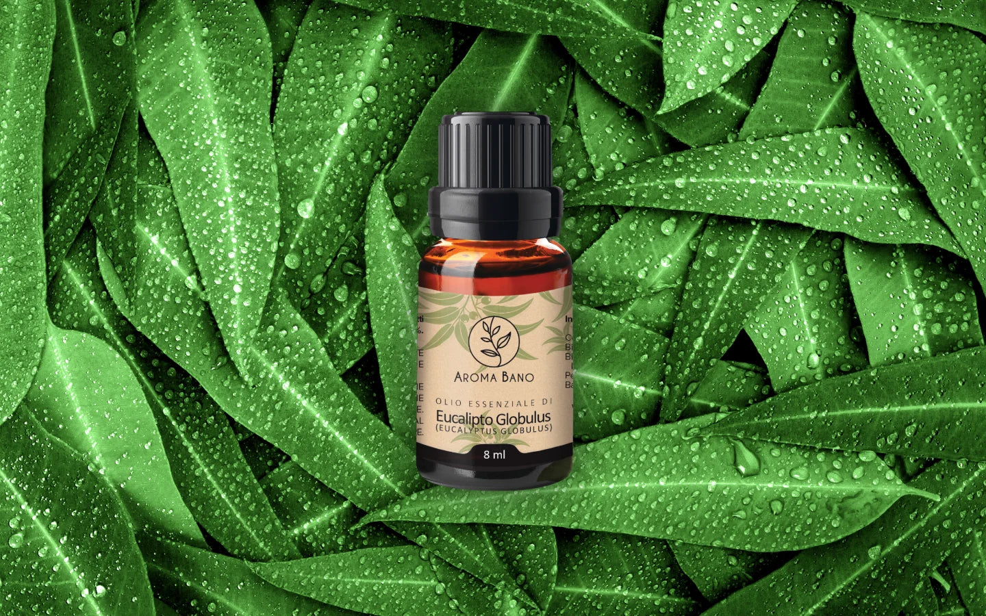 Olio essenziale di Eucalipto con foglie di eucalipto
