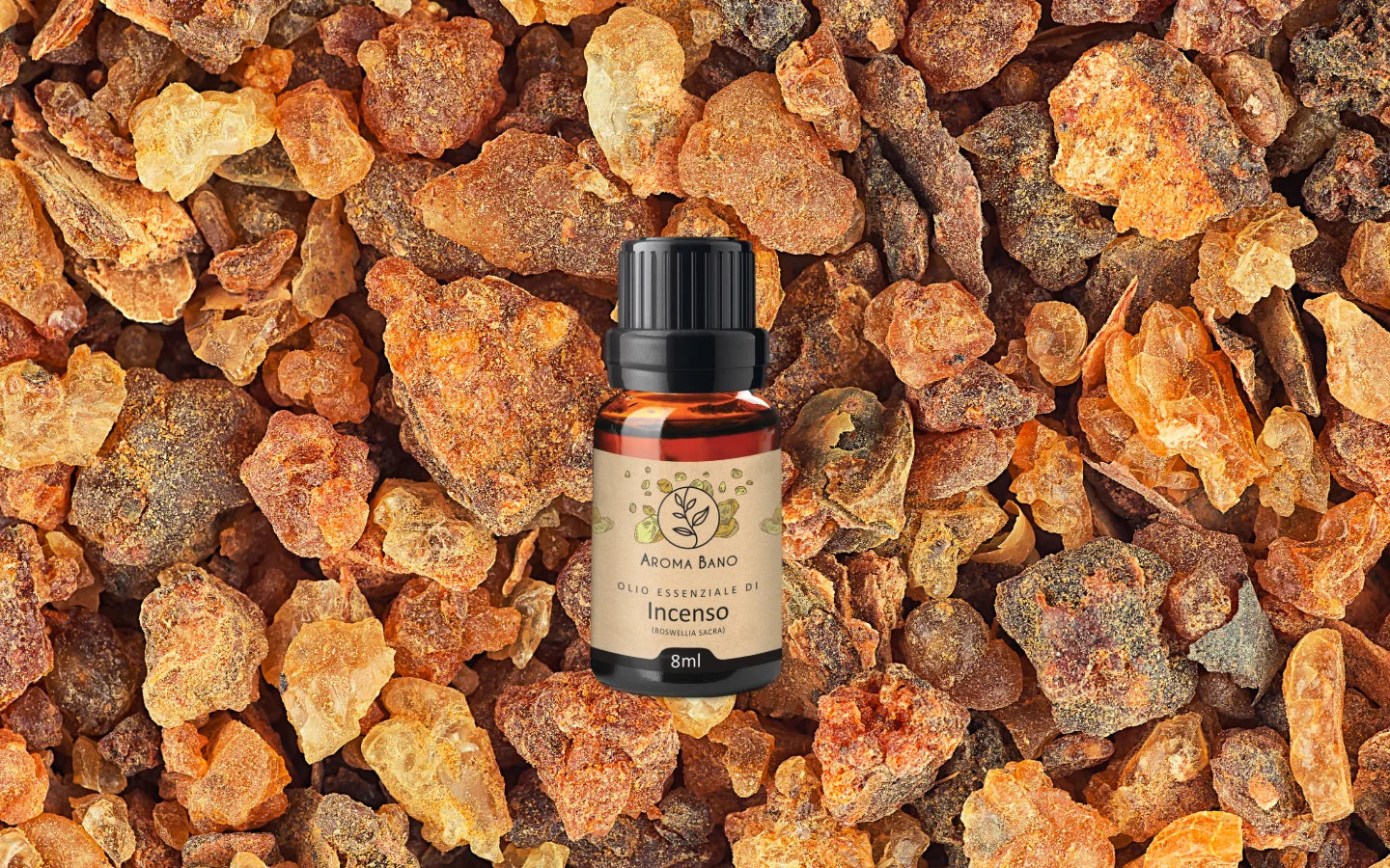 Olio essenziale di Incenso con resina di incenso naturale