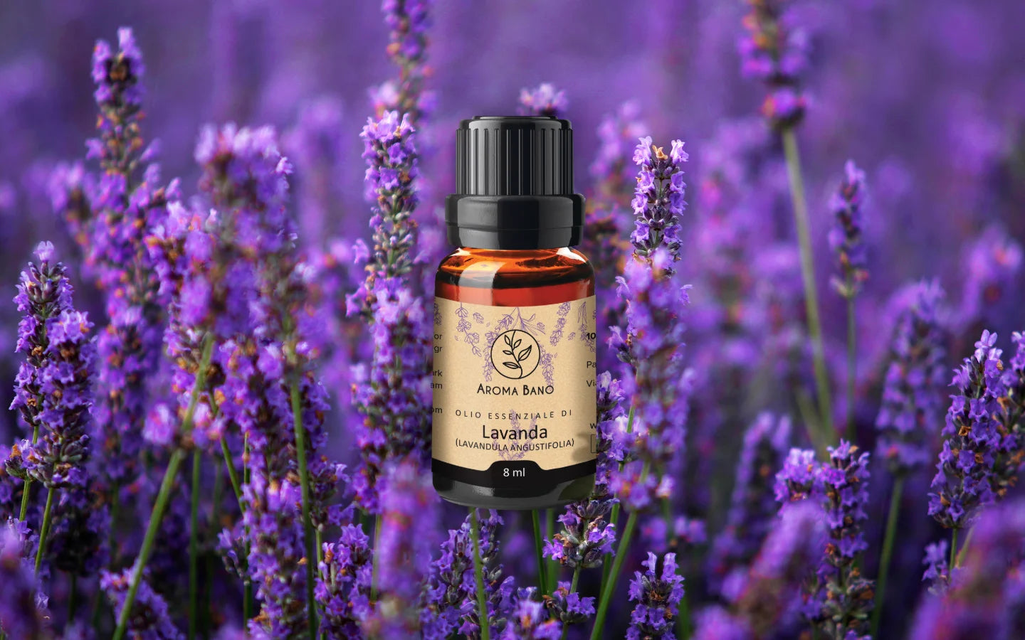 Olio essenziale di Lavanda con fiori di lavanda