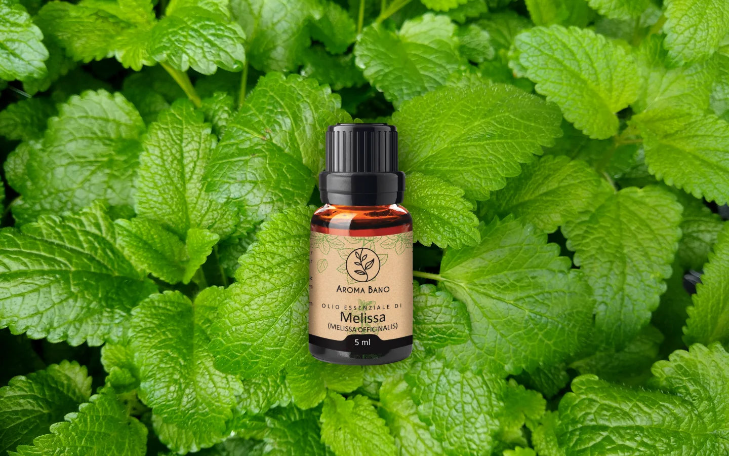 Olio essenziale di Melissa con foglie di melissa
