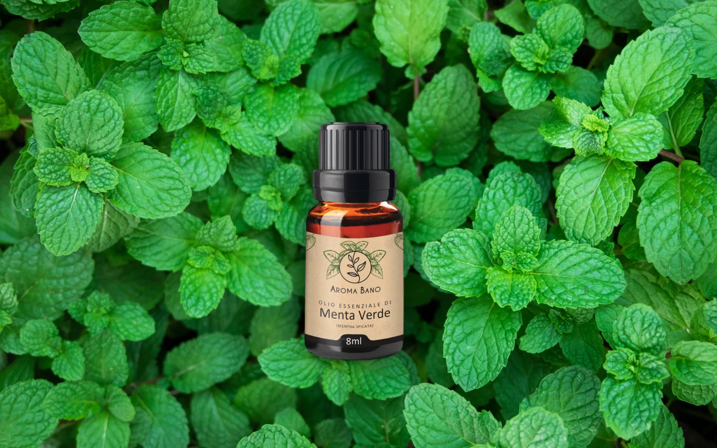Olio essenziale di Menta Verde con foglie di menta fresca