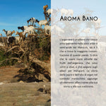 Storia dell’olio di argan e alberi di argania in Marocco