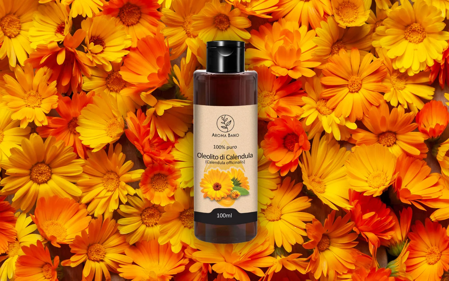 Olio di Calendula naturale 100ml con fiori di calendula officinalis