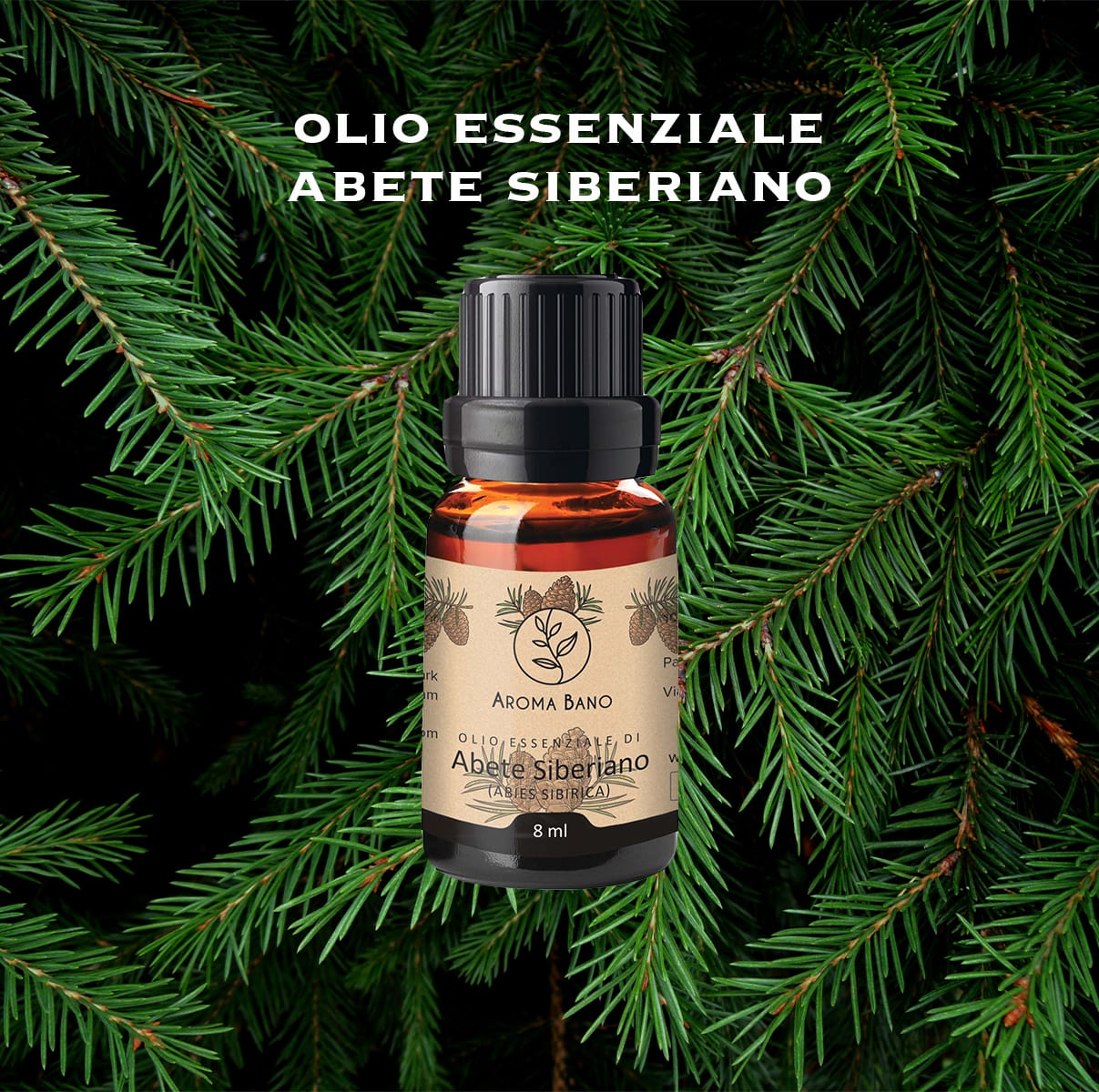 Olio essenziale di Abete Siberiano Aroma Bano in bottiglia da 8 ml su rami verdi di abete