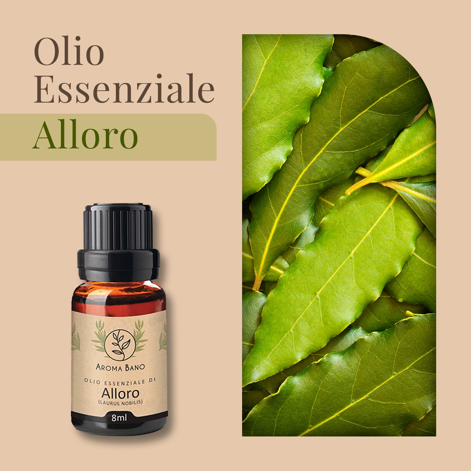 Bottiglia di olio essenziale di alloro Aroma Bano da 8 ml posizionata davanti a foglie fresche di alloro