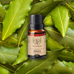 Bottiglia di olio essenziale di alloro Aroma Bano da 8 ml appoggiata su un letto di foglie verdi di alloro