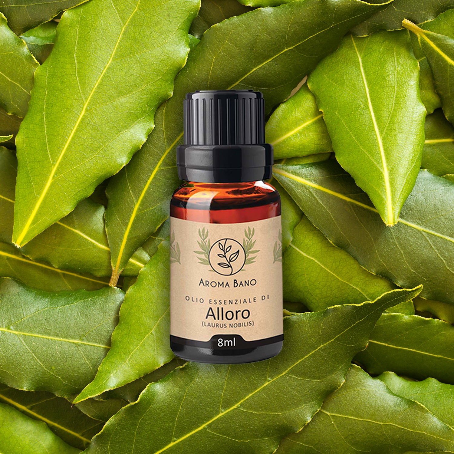 Bottiglia di olio essenziale di alloro Aroma Bano da 8 ml appoggiata su un letto di foglie verdi di alloro