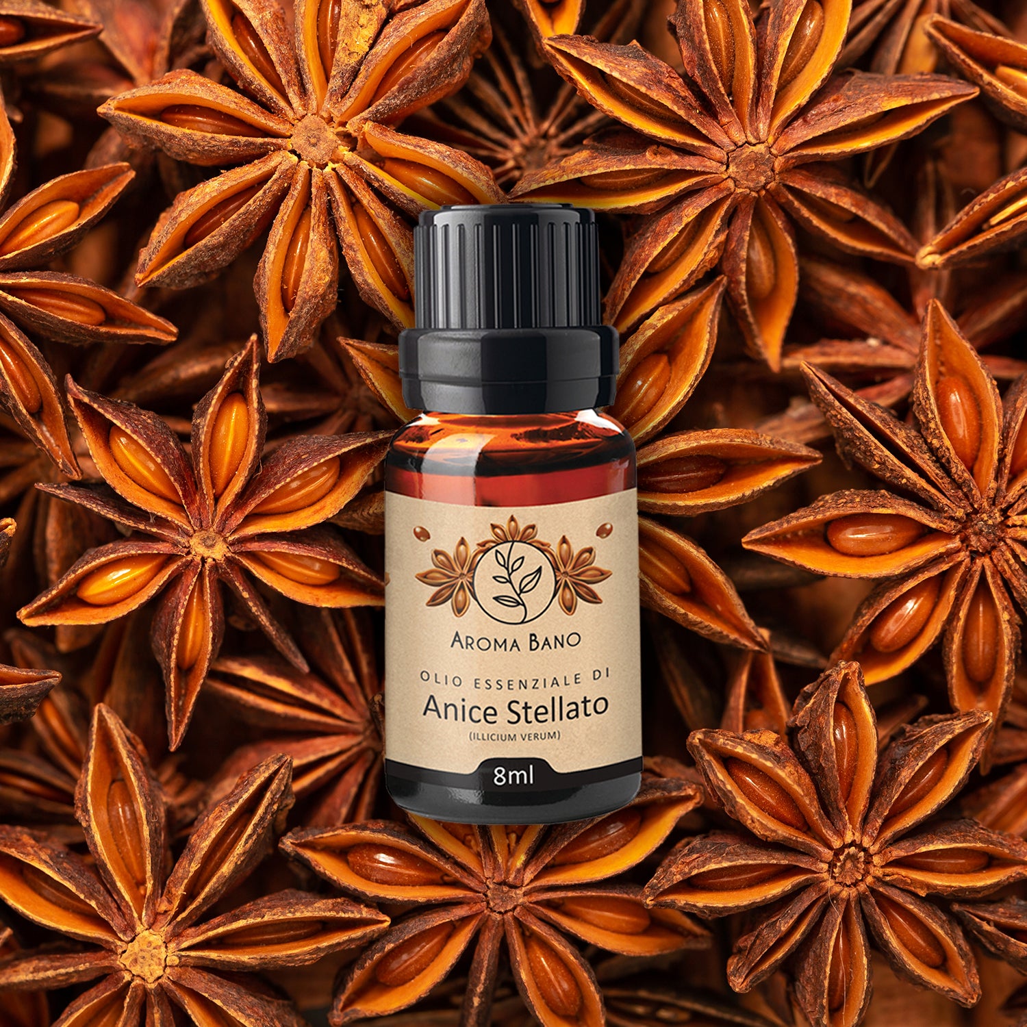 Olio essenziale di Anice Stellato Aroma Bano in bottiglia da 8 ml circondata da stelle di anice essiccato