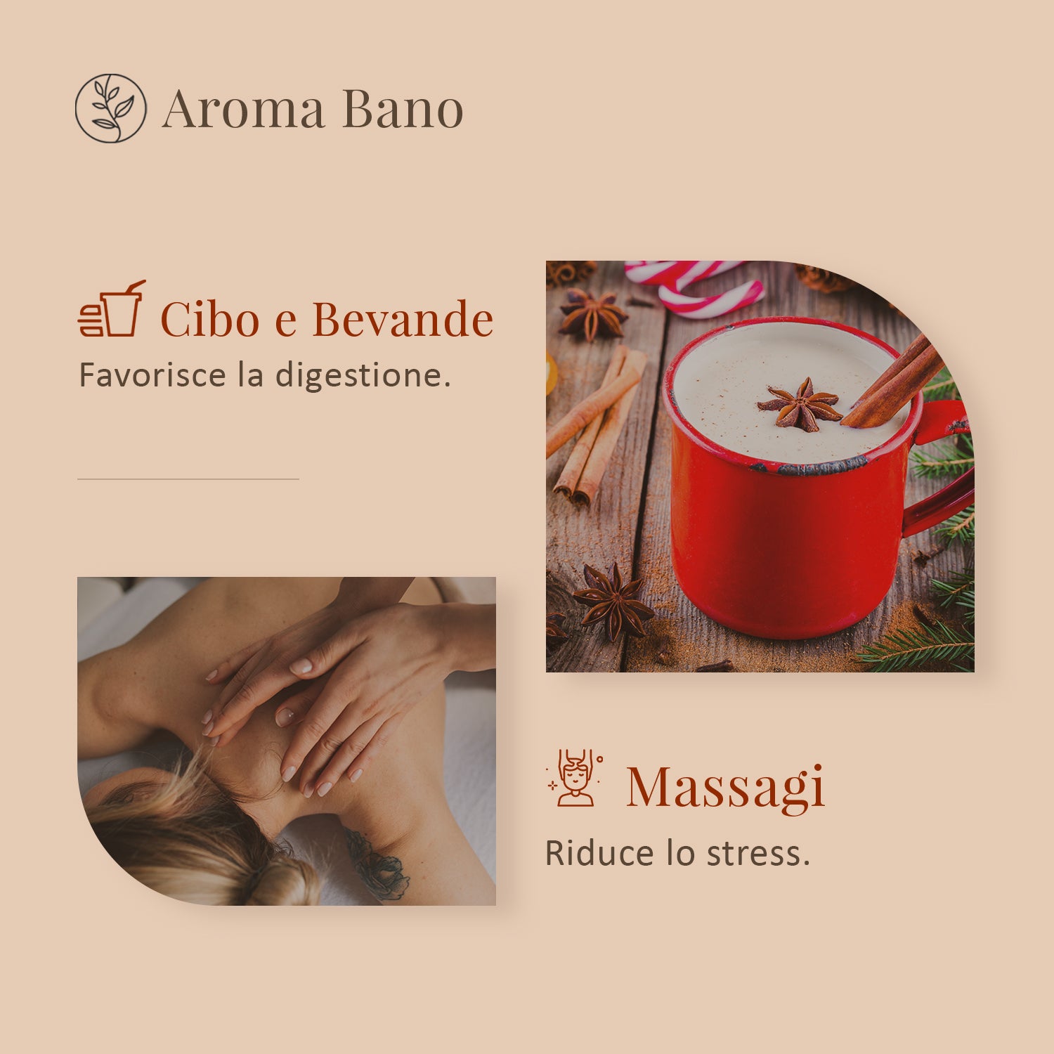Olio essenziale di Anice Stellato Aroma Bano indicato per supportare la digestione in modo naturale