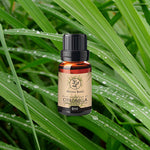 Olio essenziale di Citronella Aroma Bano in bottiglia da 8 ml su sfondo di foglie verdi di citronella