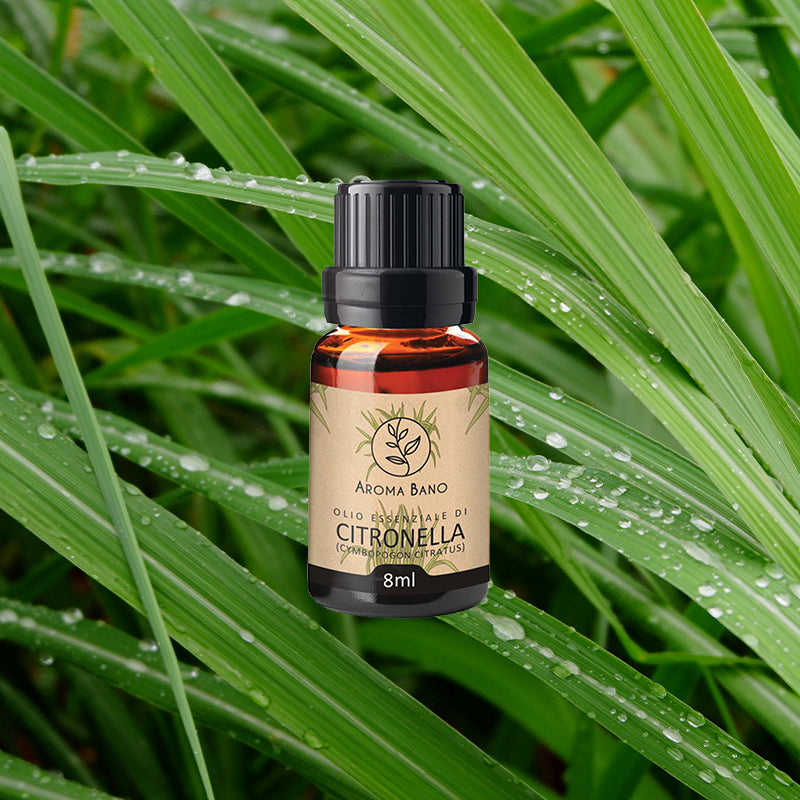 Olio essenziale di Citronella Aroma Bano in bottiglia da 8 ml su sfondo di foglie verdi di citronella