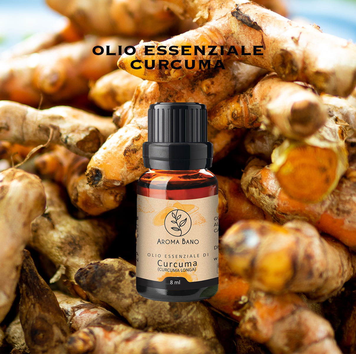 olio essenziale di curcuma su radici naturali curcuma longa