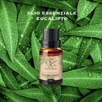 olio essenziale di eucalipto Aroma Bano 8ml con flacone su foglie di eucalipto fresche