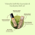 Benefici del Roll-On di Olio Essenziale di Eucalipto Aroma Bano per respirazione, concentrazione e benessere quotidiano
