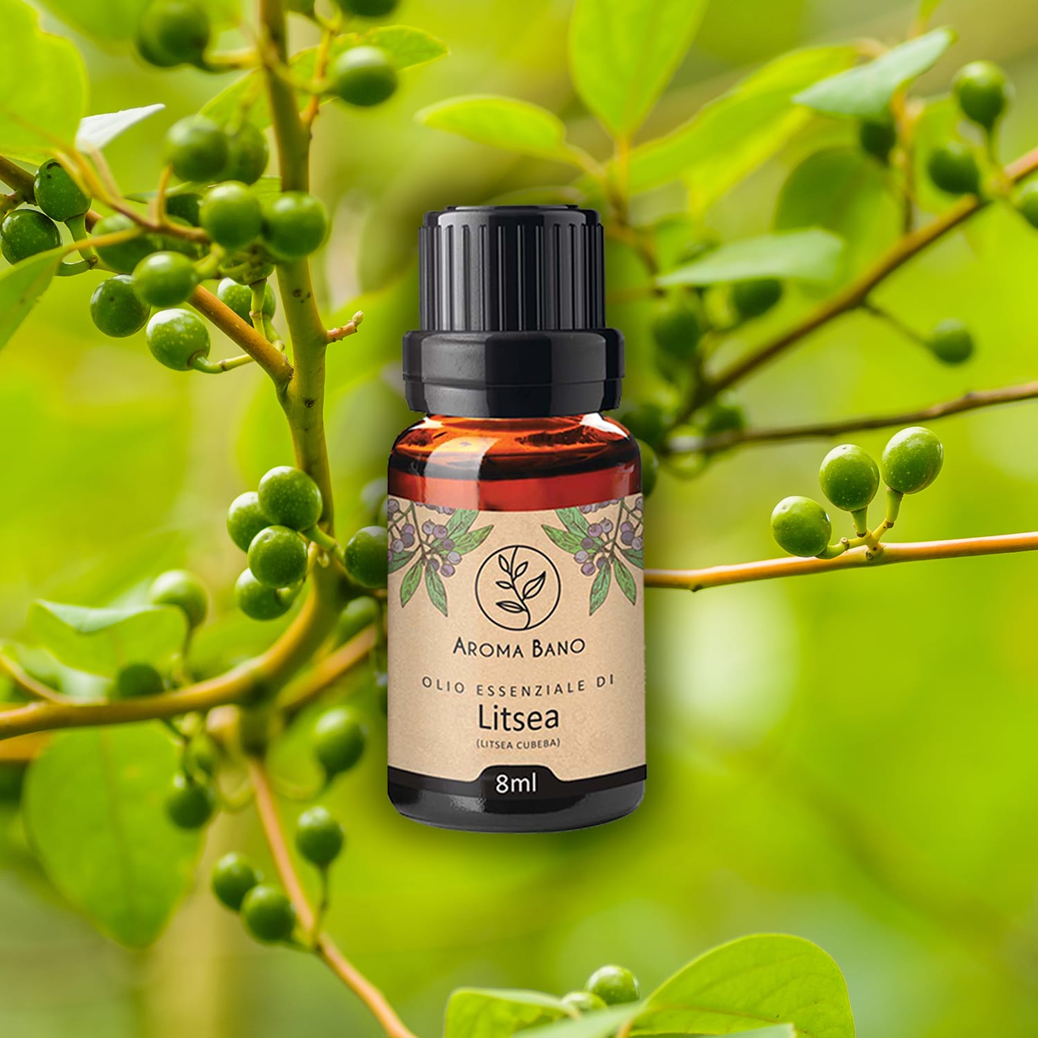 Bottiglia di olio essenziale di litsea Aroma Bano da 8 ml posizionata davanti a rami verdi della pianta di litsea con bacche