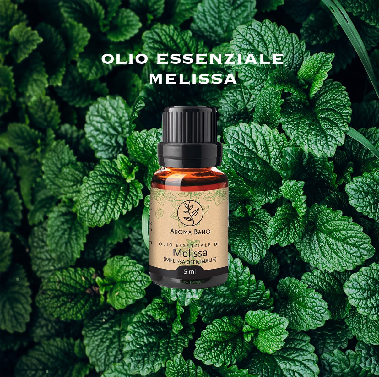 Olio essenziale di Melissa Aroma Bano in bottiglia su sfondo di foglie verdi di melissa