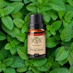 Olio essenziale di Menta Verde Aroma Bano in bottiglia su sfondo di foglie verdi di menta