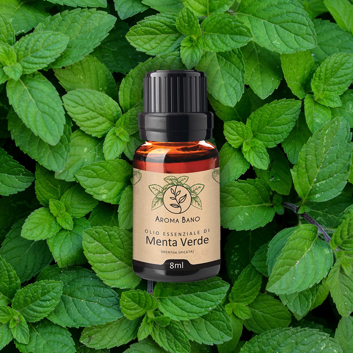 Olio essenziale di Menta Verde Aroma Bano in bottiglia su sfondo di foglie verdi di menta