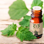 Olio essenziale di Patchouli Aroma Bano in bottiglia da 8 ml appoggiata su superficie in legno con foglie di patchouli