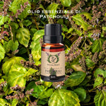 Olio essenziale di Patchouli Aroma Bano in bottiglia da 8 ml immersa tra foglie verdi di patchouli