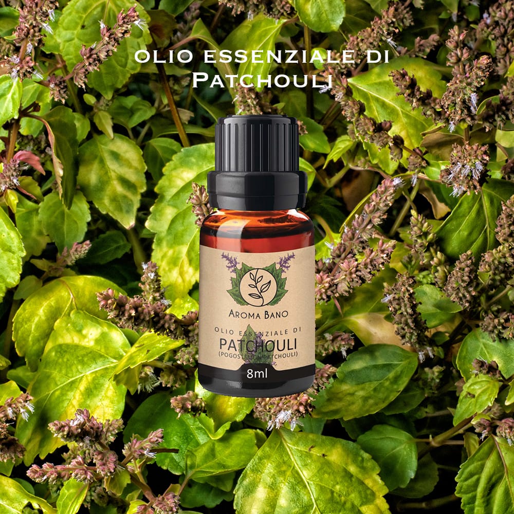 Olio essenziale di Patchouli Aroma Bano in bottiglia da 8 ml immersa tra foglie verdi di patchouli