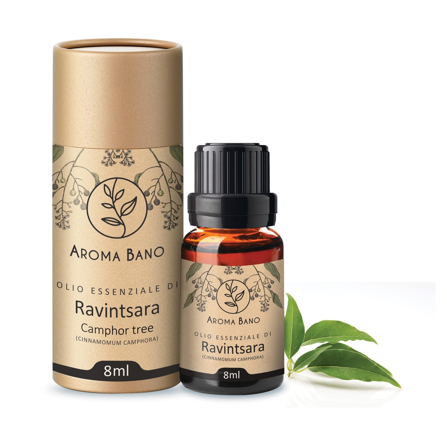 Confezione e bottiglia da 8 ml di olio essenziale di Ravintsara Aroma Bano su sfondo bianco