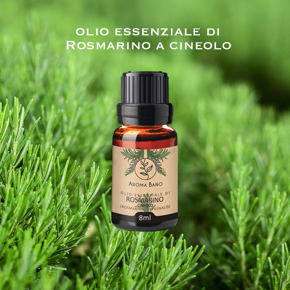 Olio essenziale di Rosmarino cineolo Aroma Bano in bottiglia da 8 ml su pianta verde di rosmarino