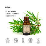 Flacone aperto di olio essenziale di Tea Tree con foglie, uso alimentare aromaterapia e cosmetico