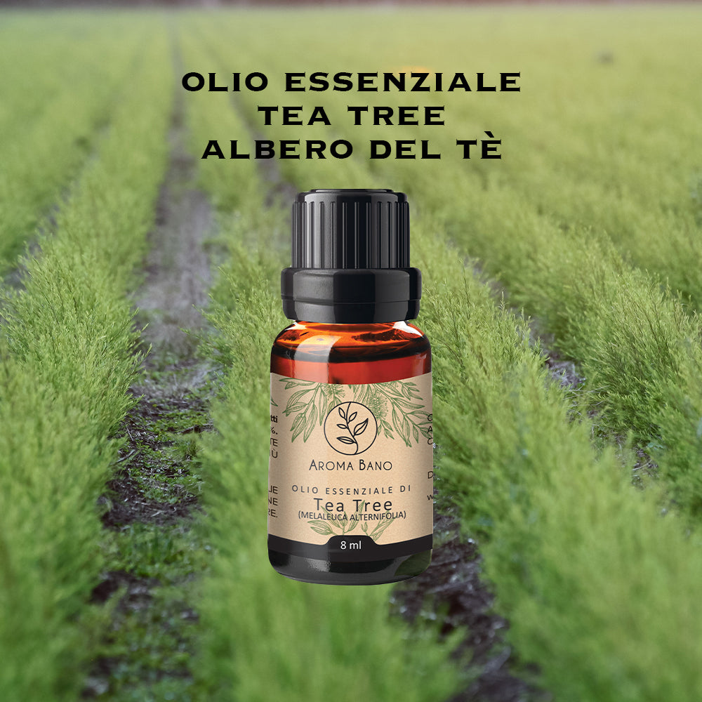 Olio essenziale di Tea Tree con flacone su piantagione di tea tree