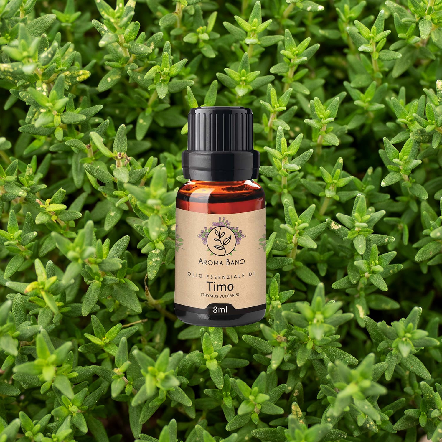 Olio essenziale di Timo Aroma Bano in bottiglia da 8 ml su sfondo di foglie fresche di timo
