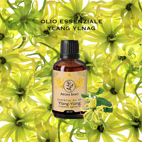 Olio essenziale di Ylang Ylang Aroma Bano in bottiglia su sfondo di fiori gialli di ylang ylang