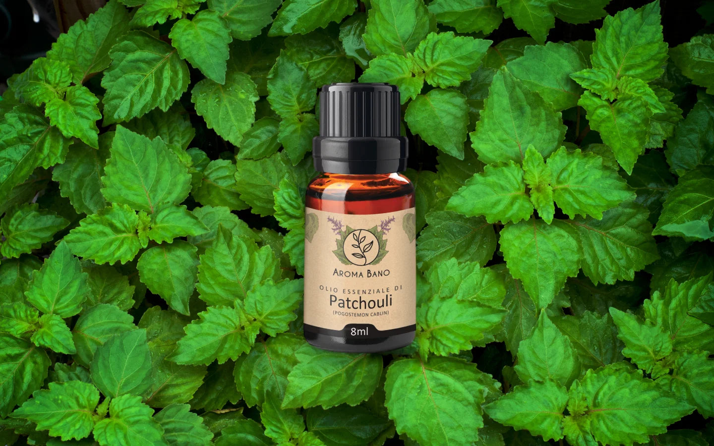 Olio essenziale di Patchouli con foglie di patchouli
