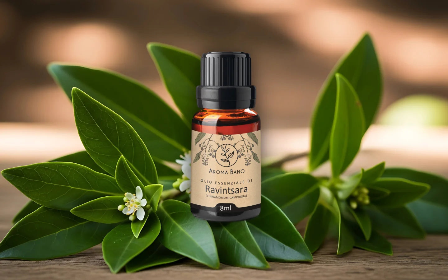 Olio essenziale di Ravintsara con foglie di ravintsara