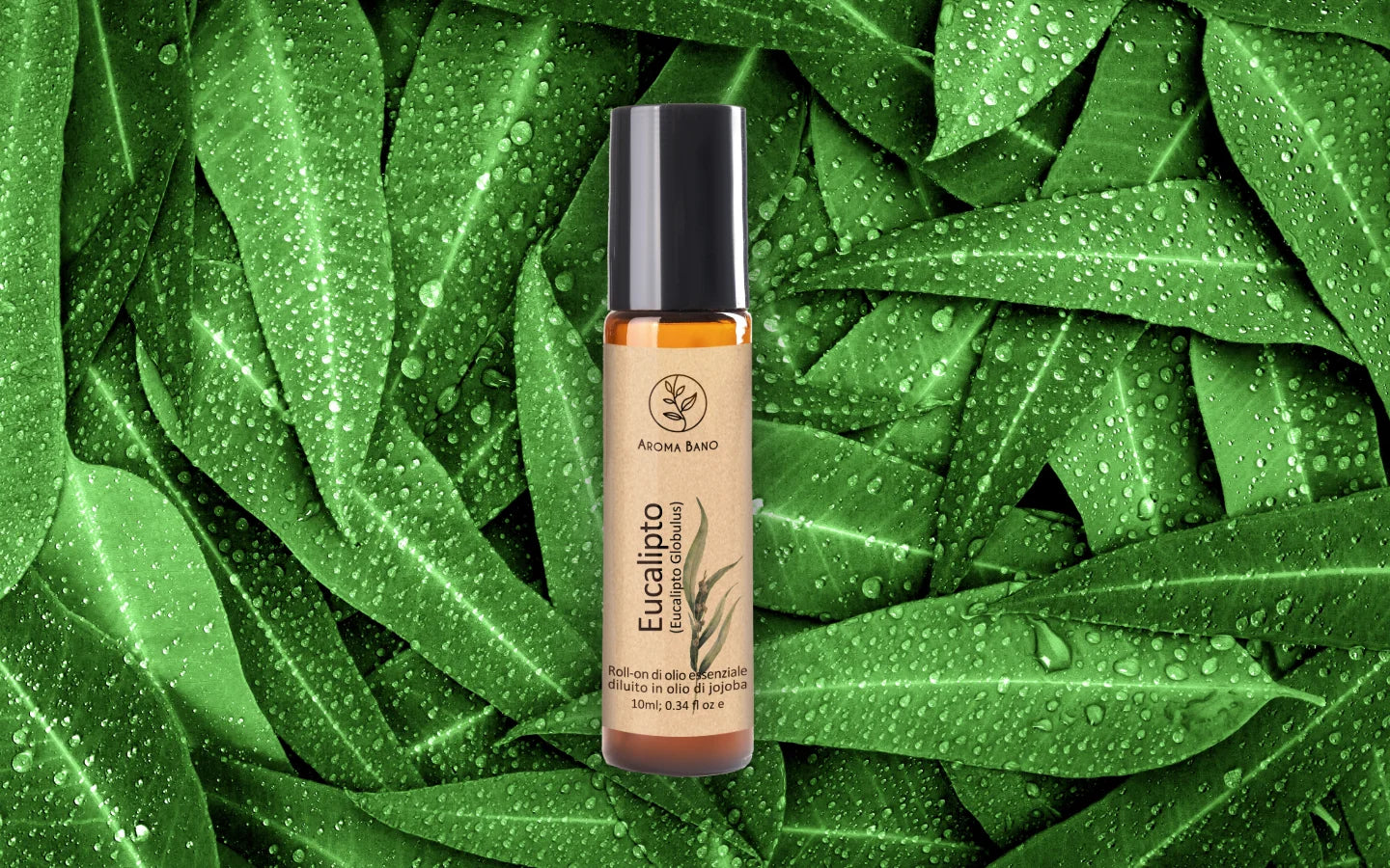Roll-on olio essenziale di Eucalipto diluito in olio di jojoba con foglie di eucalipto