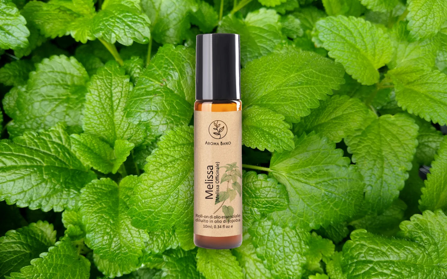 Roll-on olio essenziale di Melissa diluito in olio di jojoba con foglie di melissa fresca