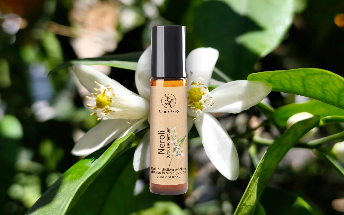 Roll-on olio essenziale di Neroli diluito in olio di jojoba con fiori di arancio amaro