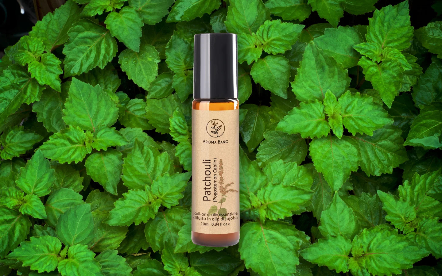 Roll-on olio essenziale di Patchouli diluito in olio di jojoba con foglie di Pogostemon cablin