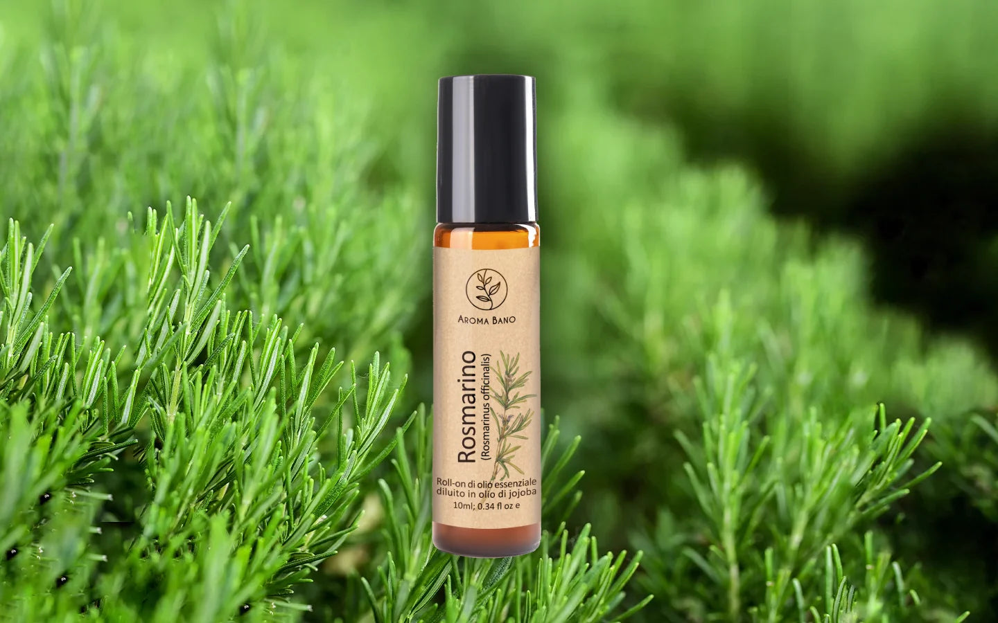 Roll-on olio essenziale di Rosmarino diluito in olio di jojoba con rami di Rosmarinus officinalis