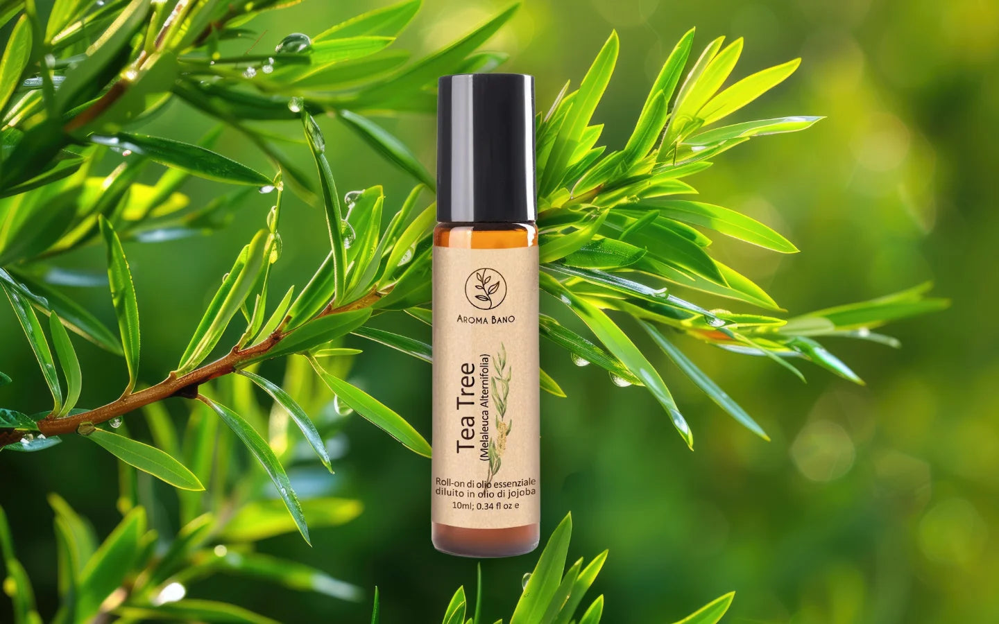 Roll-on olio essenziale di Tea Tree diluito in olio di jojoba con foglie di Melaleuca alternifolia