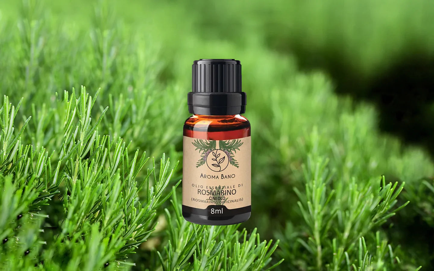 Olio essenziale di Rosmarino con rametti di rosmarino