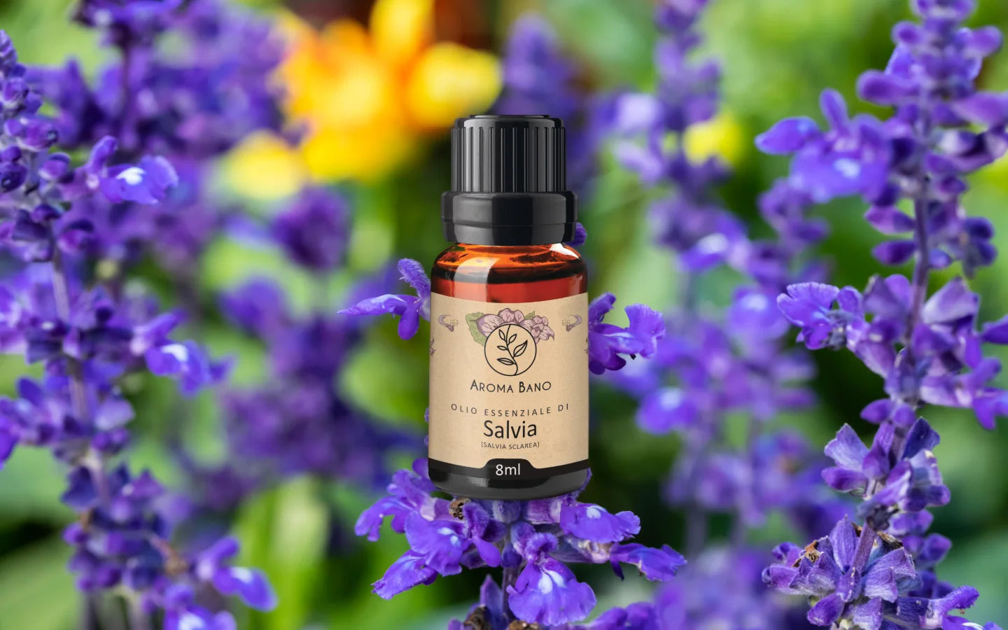 Olio essenziale di Salvia Sclarea con fiori di salvia sclarea