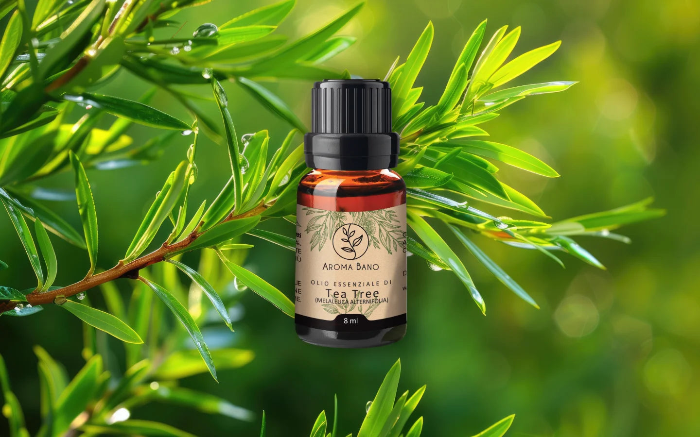 Olio essenziale di Tea Tree con foglie di tea tree
