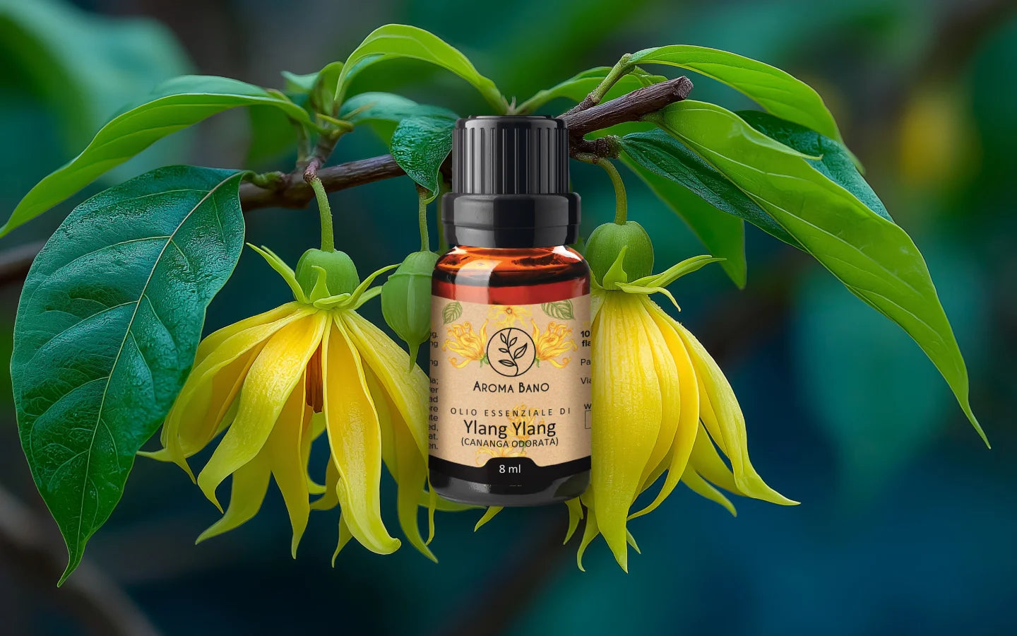 Olio essenziale di Ylang Ylang con fiori di ylang ylang
